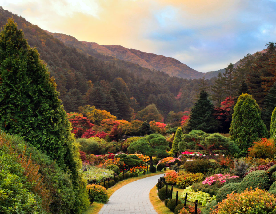 가평 아침고요수목원