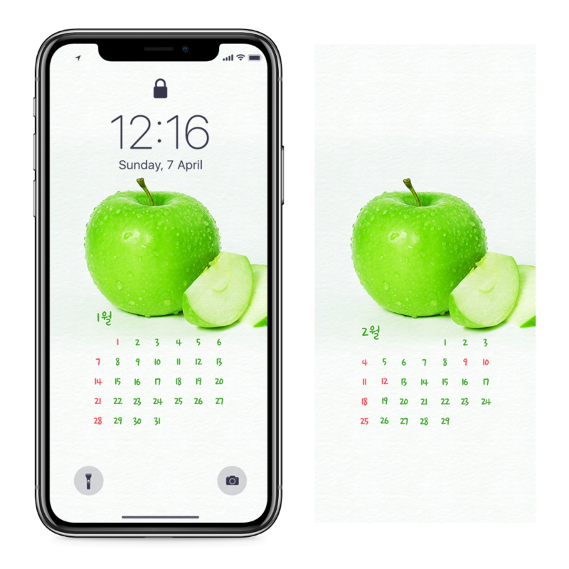 12 풋사과 한개 AB - 2024년1월 아이폰달력배경화면