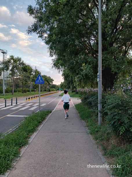 공원 산책로에서 팔을 90도로 유지하며 슬로우 조깅을 하는 남성