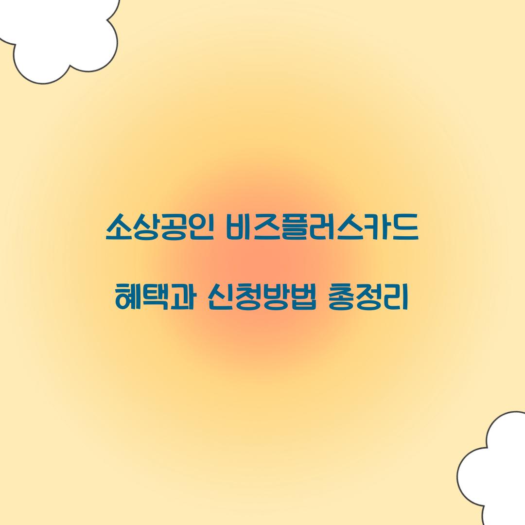 소상공인 비즈플러스카드