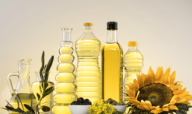 태백 해바라기축제