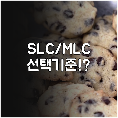 데이터 저장 기술 SLC MLC의 구..