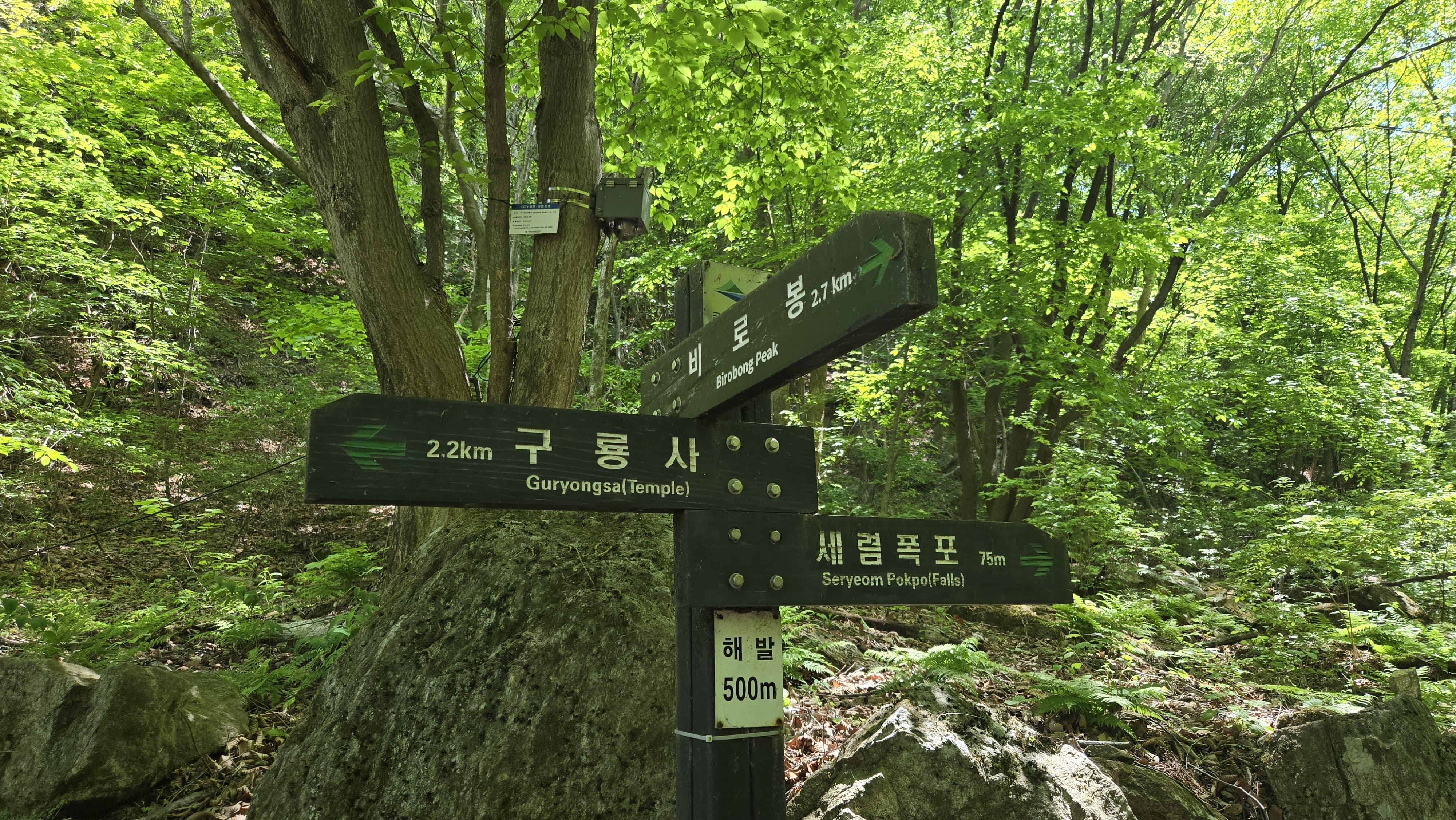 숲길과 계곡이 정말 시원했습니다