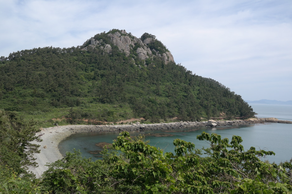 숨겨진 보석, 손죽도 여행 완벽 가이드: 가는 방법부터 명소·맛집까지