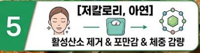 멍게 효능