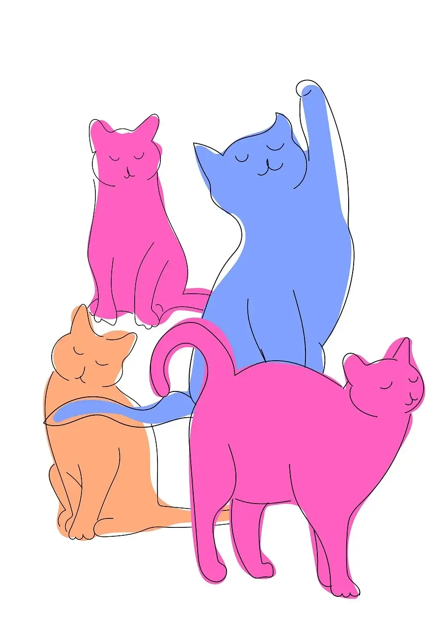 반려동물관리사 자격증, 반려동물과 함께하는 미래를 위한 첫걸음