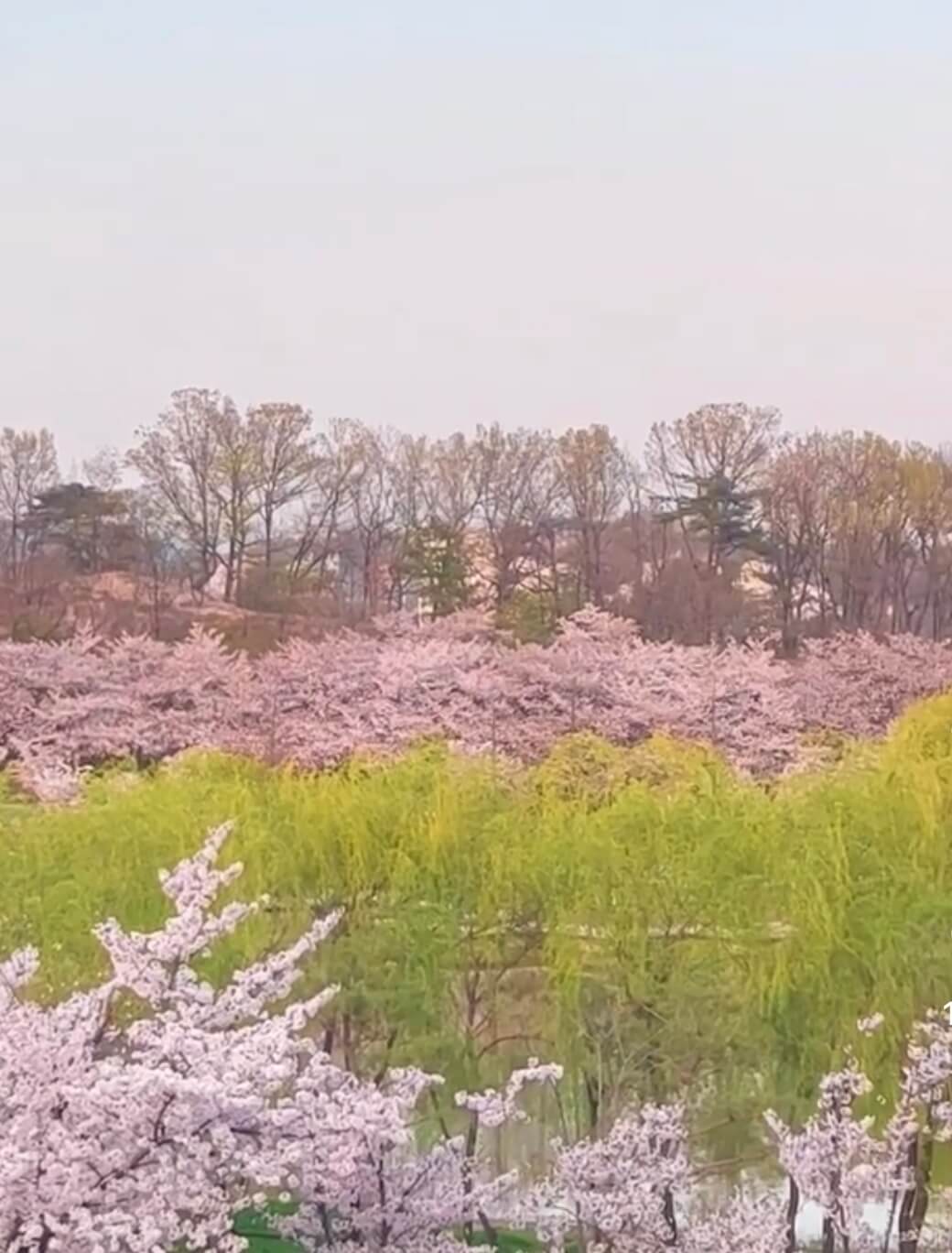 북서울꿈의숲 관련사진