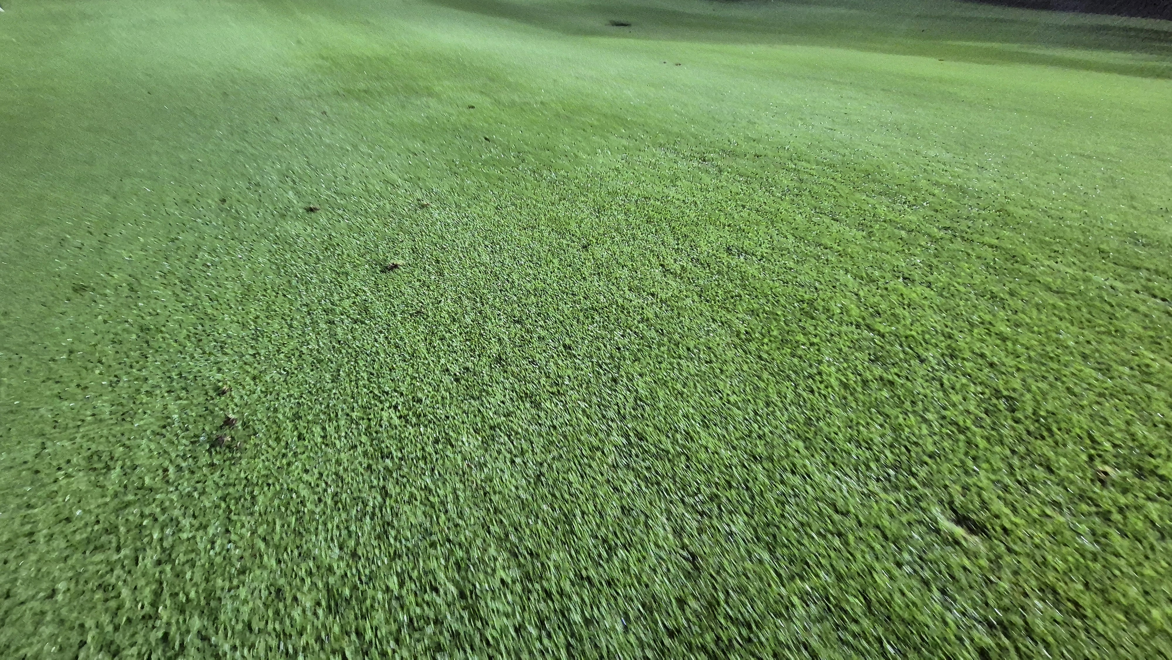 블루원용인cc 코스 관리 상태