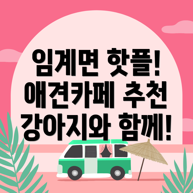 애견카페