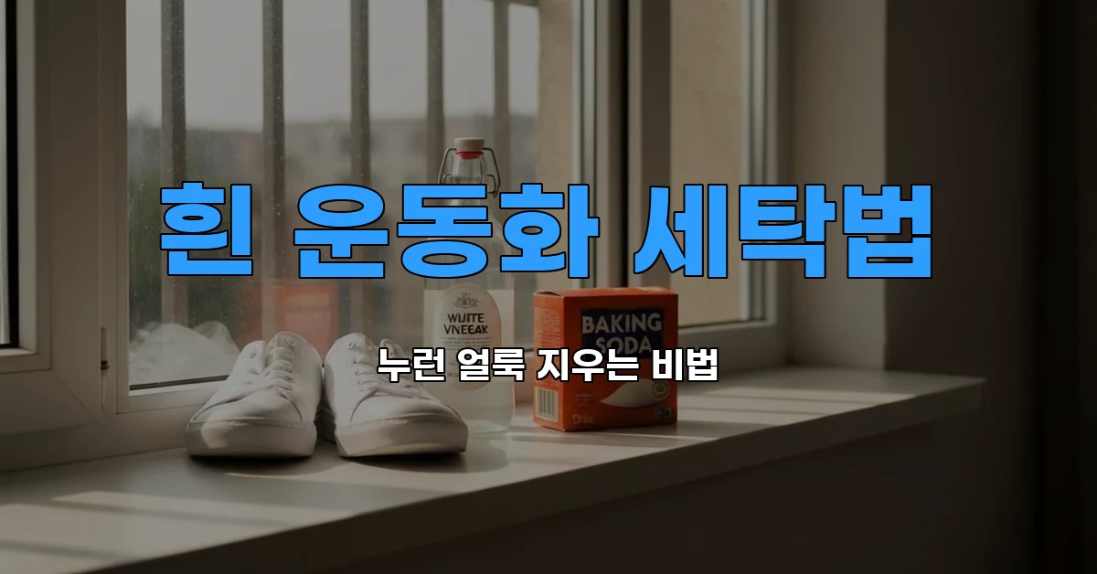 살림노하우
