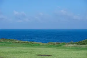 제주 렌트카 비교사이트 돌하루팡