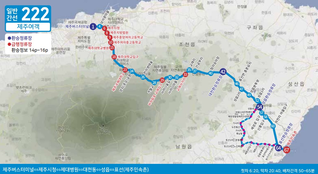 제주도 버스노선 - 일반간선버스201, 202, 일반간선버스211, 212, 일반간선버스221, 222, 일반간선버스231, 일반간선버스232, 일반간선버스240, 일반간선버스251, 252, 253, 254, 255, 일반간선버스260, 일반간선버스270, 일반간선버스281, 282, 일반간선버스291, 292, 295