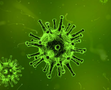 변이바이러스-모양