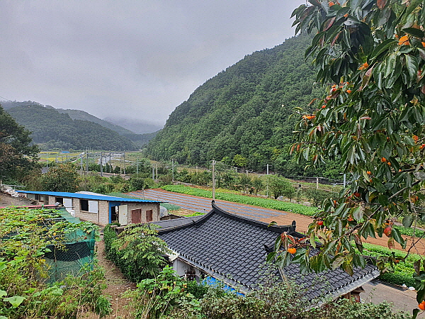 강원도 삼척시 여행 사진