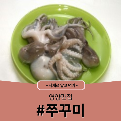 쭈꾸미