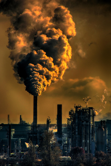 무심코 한 선택이 지구에 남긴 흔적 환경오염의 진실