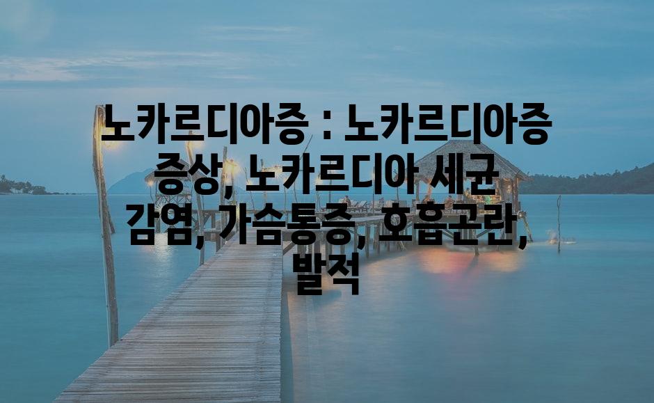 샘플 (78)