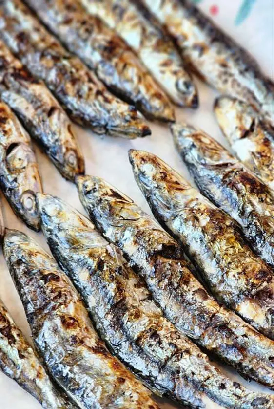 기장 이화장 횟집