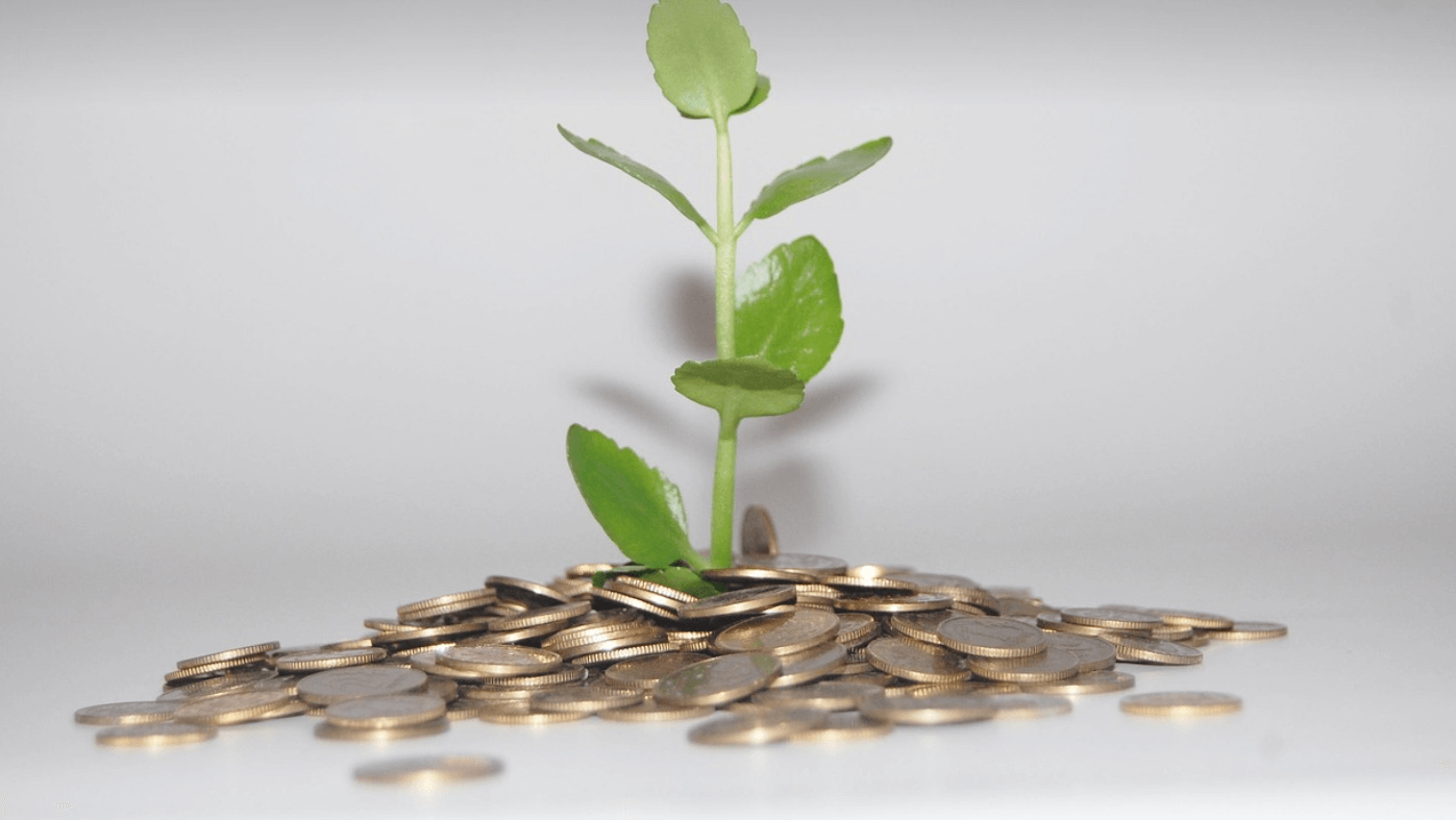 재테크 초보자 단계별 실천 가이드