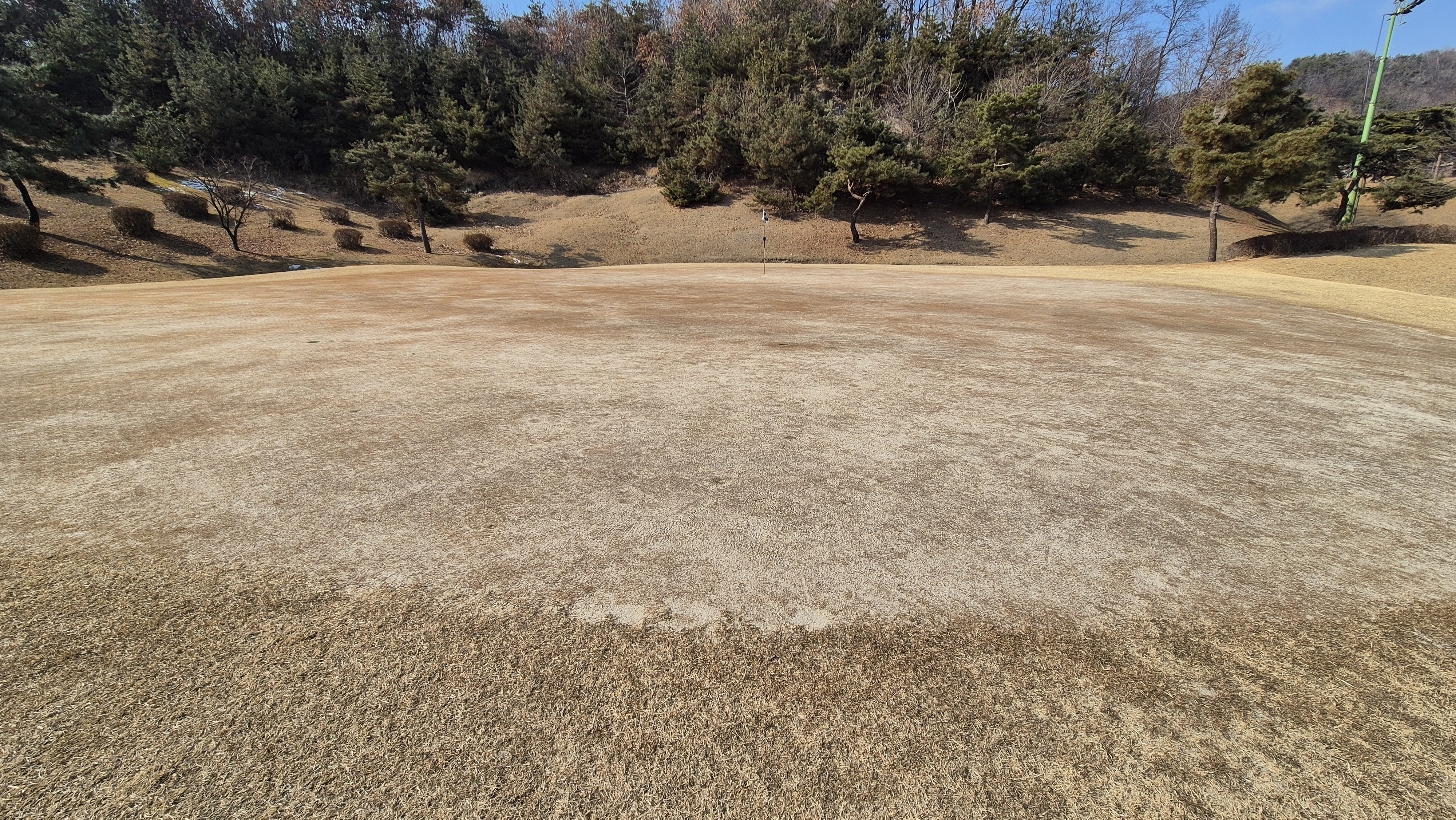 비에이비스타cc 호박-보나(퍼블릭) 코스 그린관리상태