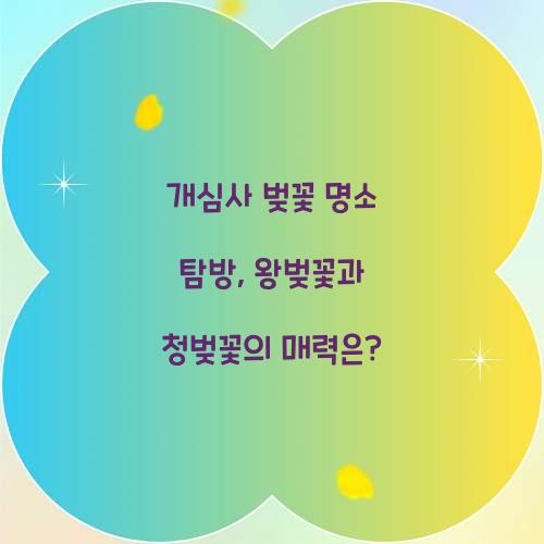 개심사 벚꽃