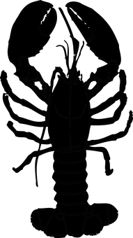 바닷가재