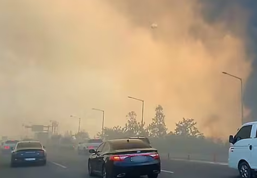 대구 산불 실시간 현황 산불지도