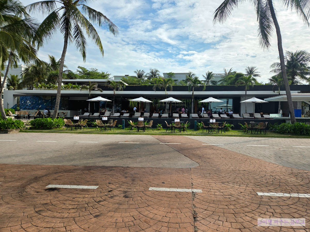 #푸꾸옥 세일링클럽 #푸꾸옥 세일링클럽 불쇼