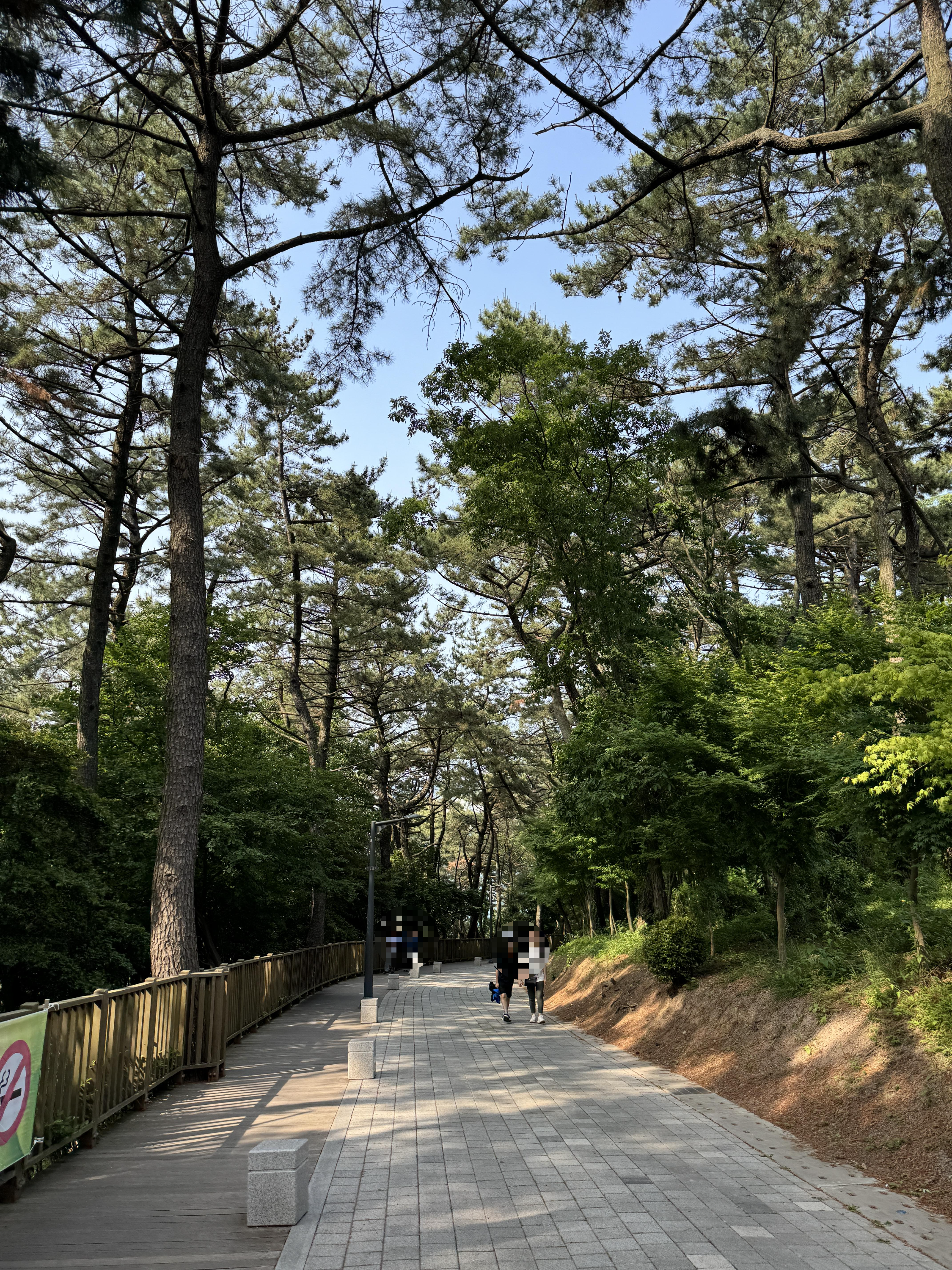 송도-암남공원-둘레길-오르막길