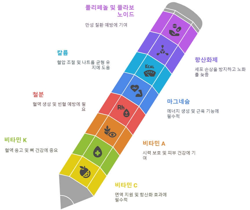 소렐 허브의 영양 성분