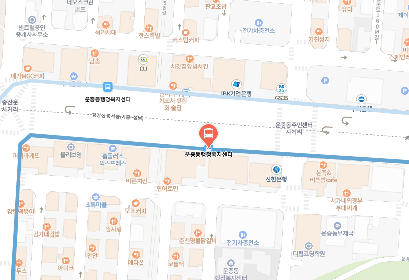 판교 공항버스