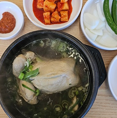 생생정보 국내산 한방 삼계탕 9900원