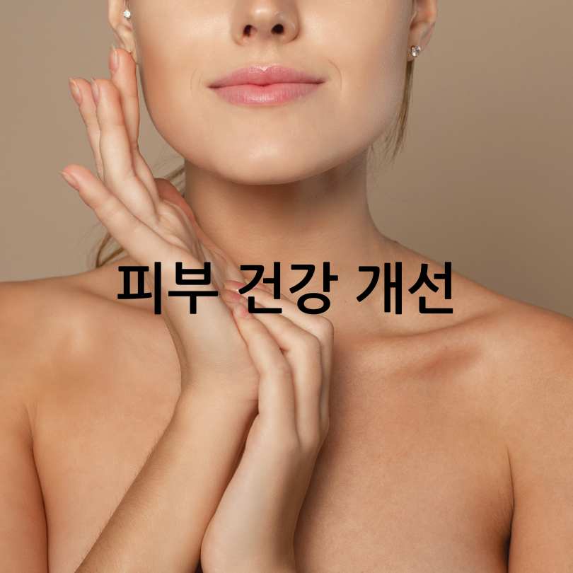 저분자 어린 콜라겐