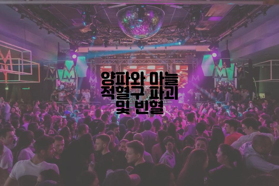 양파와 마늘 적혈구 파괴 및 빈혈