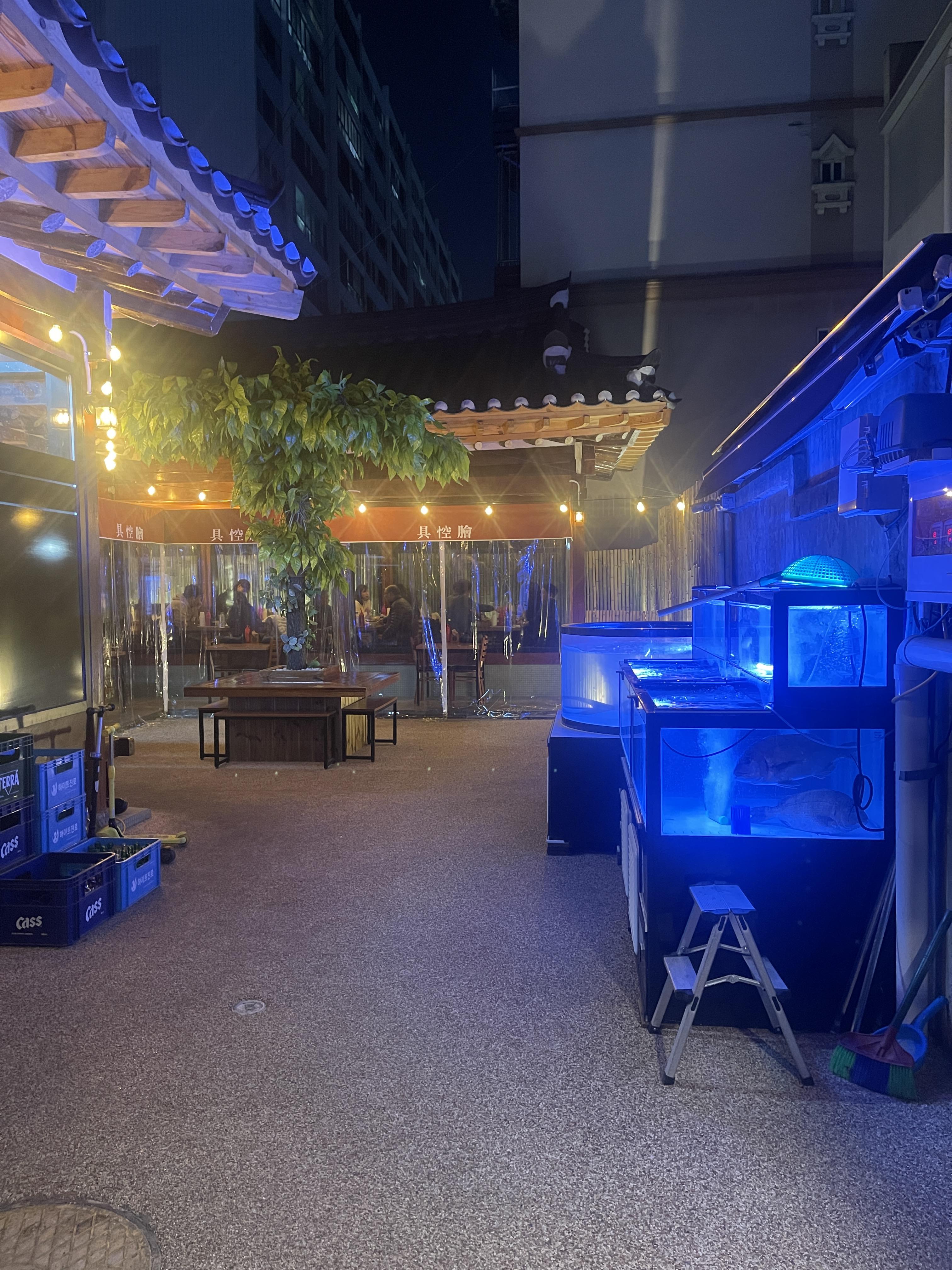 대구횟집술집맛집 대봉동 구공회 마당