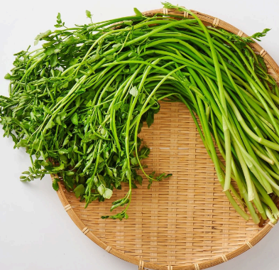 미나리가 건강에 좋은 이유 7가지