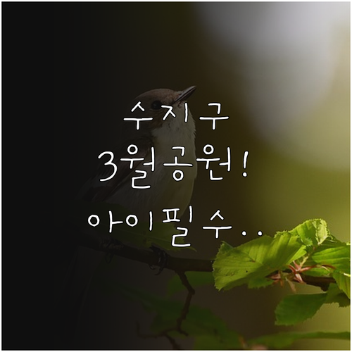 아이와 가기 좋은 용인 수지구 3월 ..