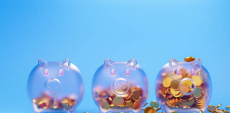 기초연금과 노령연금 차이