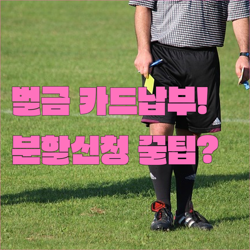 음주운전 벌금 조회 및 카드 납부 방..