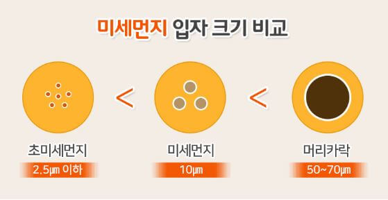 미세먼지 크기 비교