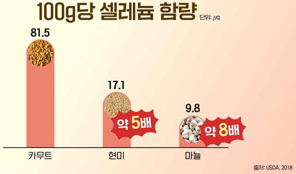카무트 효소 효능