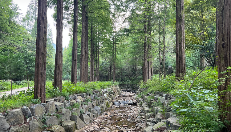 온빛자연휴양림