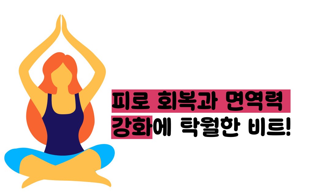 비트 효능 및부작용