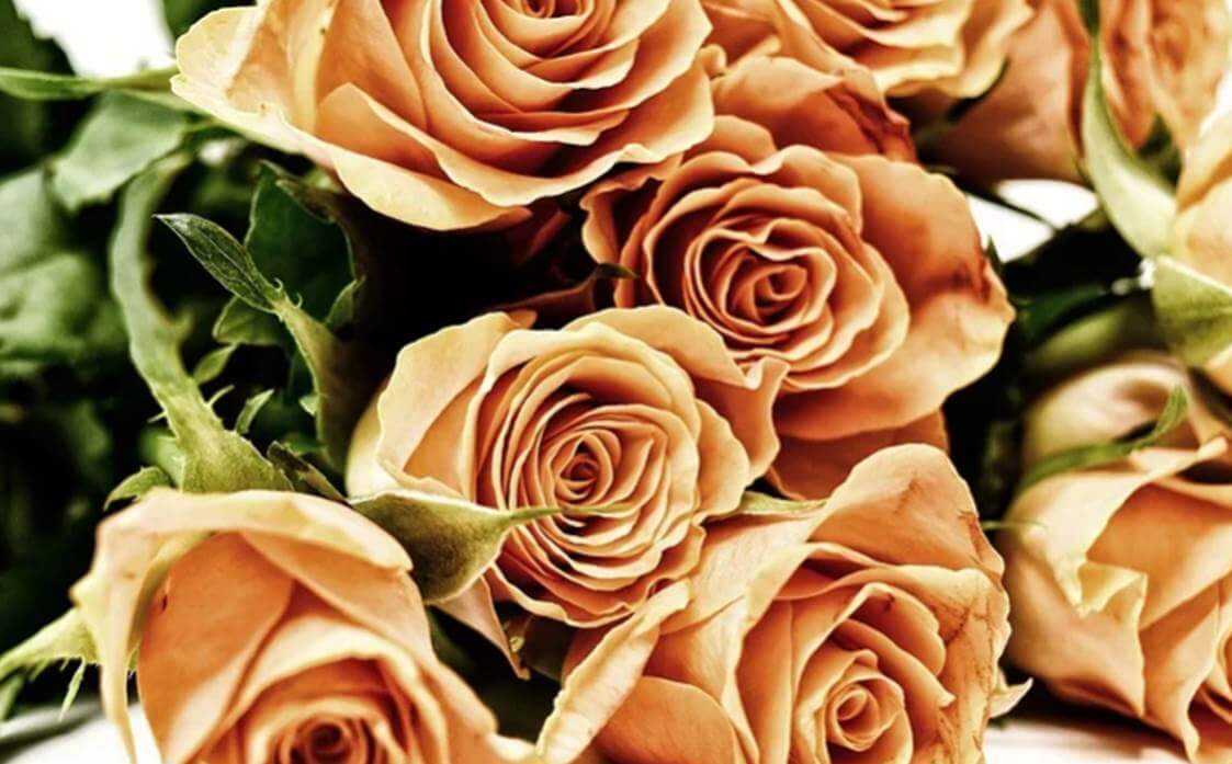 향기롭고 뽀송뽀송한 수건 