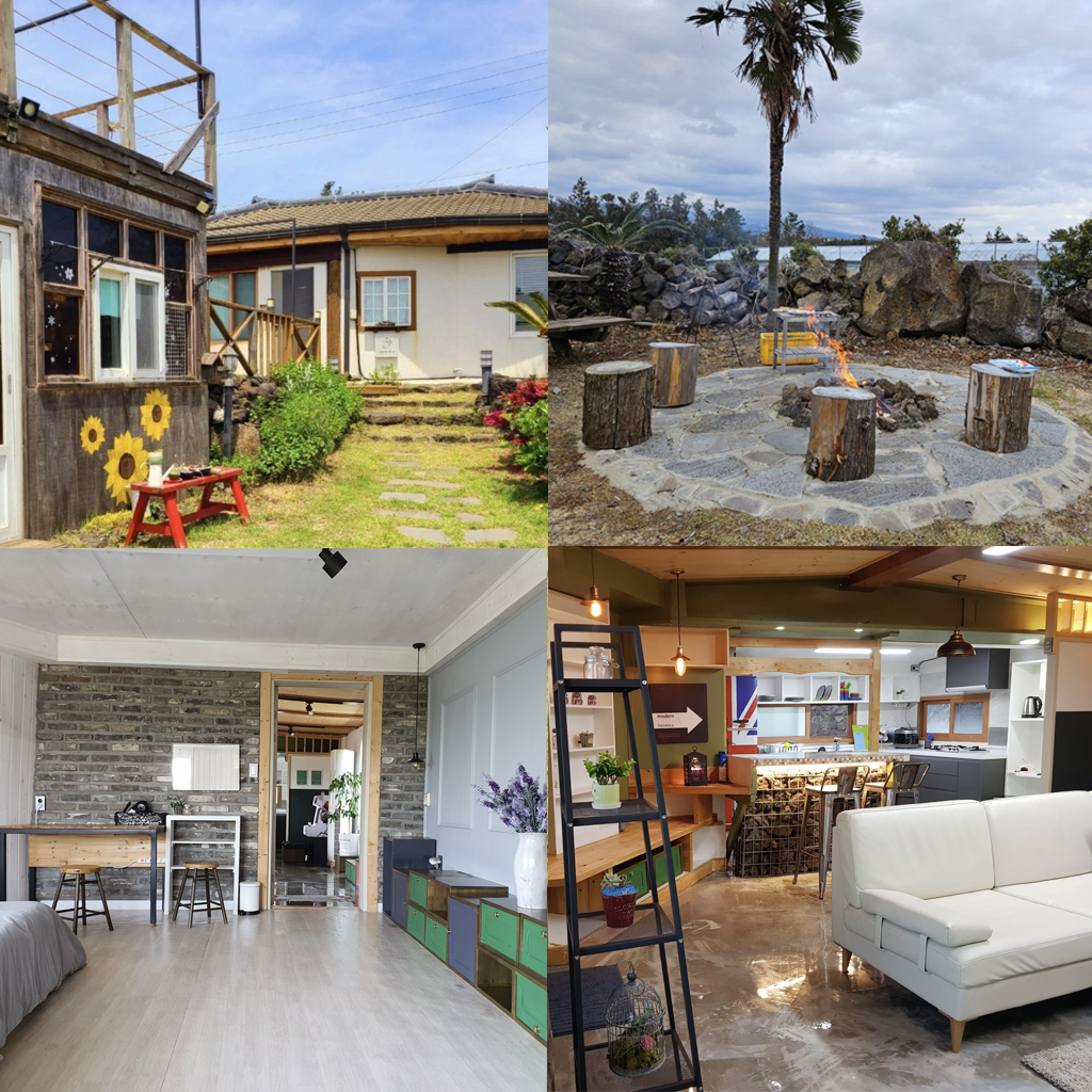 제주도 반려동물 동반 숙소 알아보기