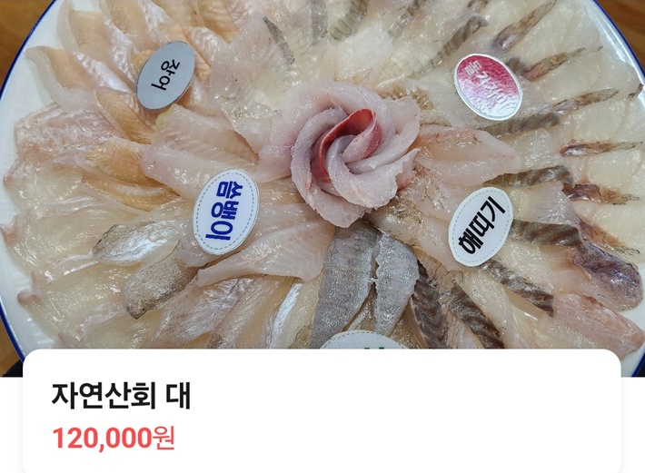 백반기행-영덕-자연산회-축산항횟집