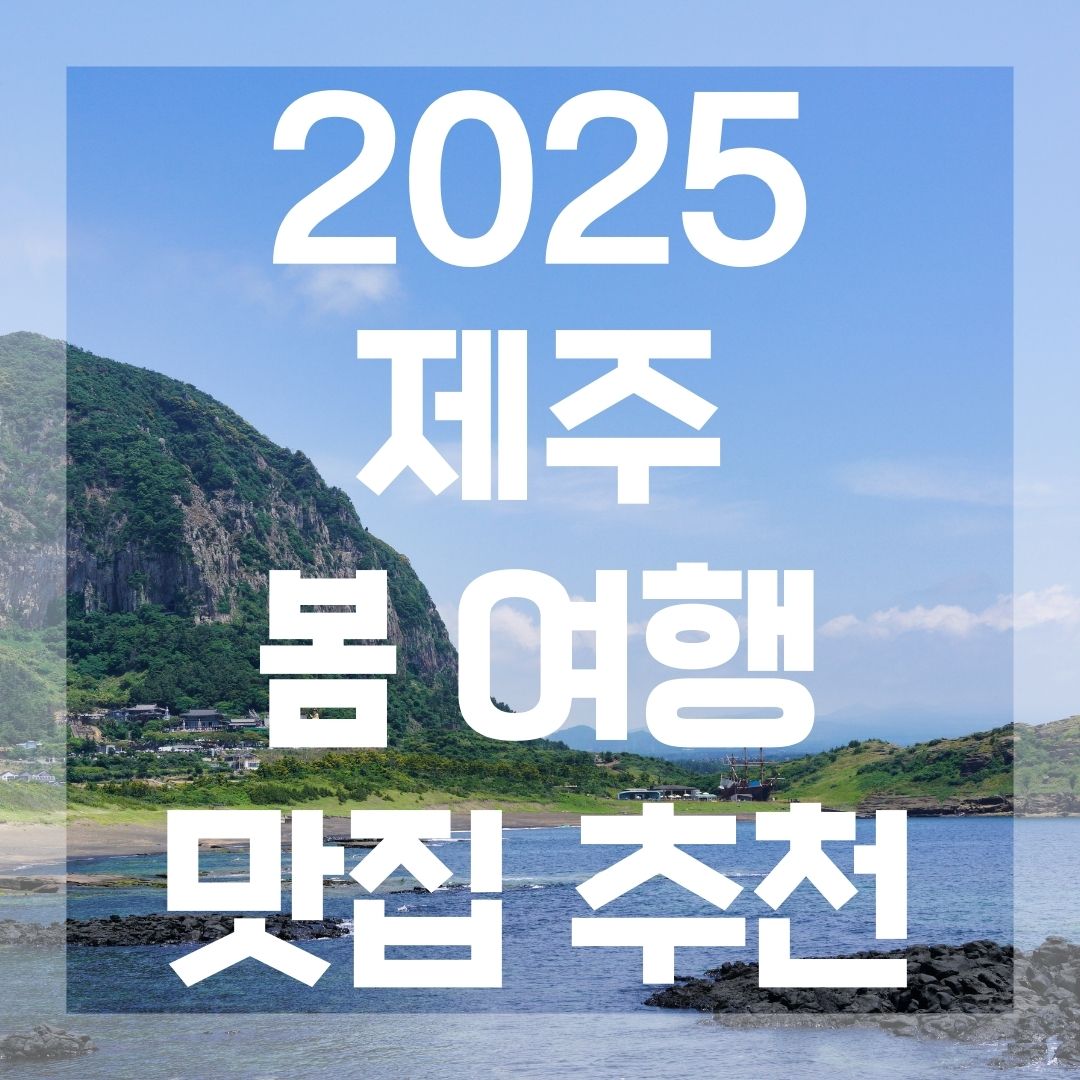 제주 맛집 추천