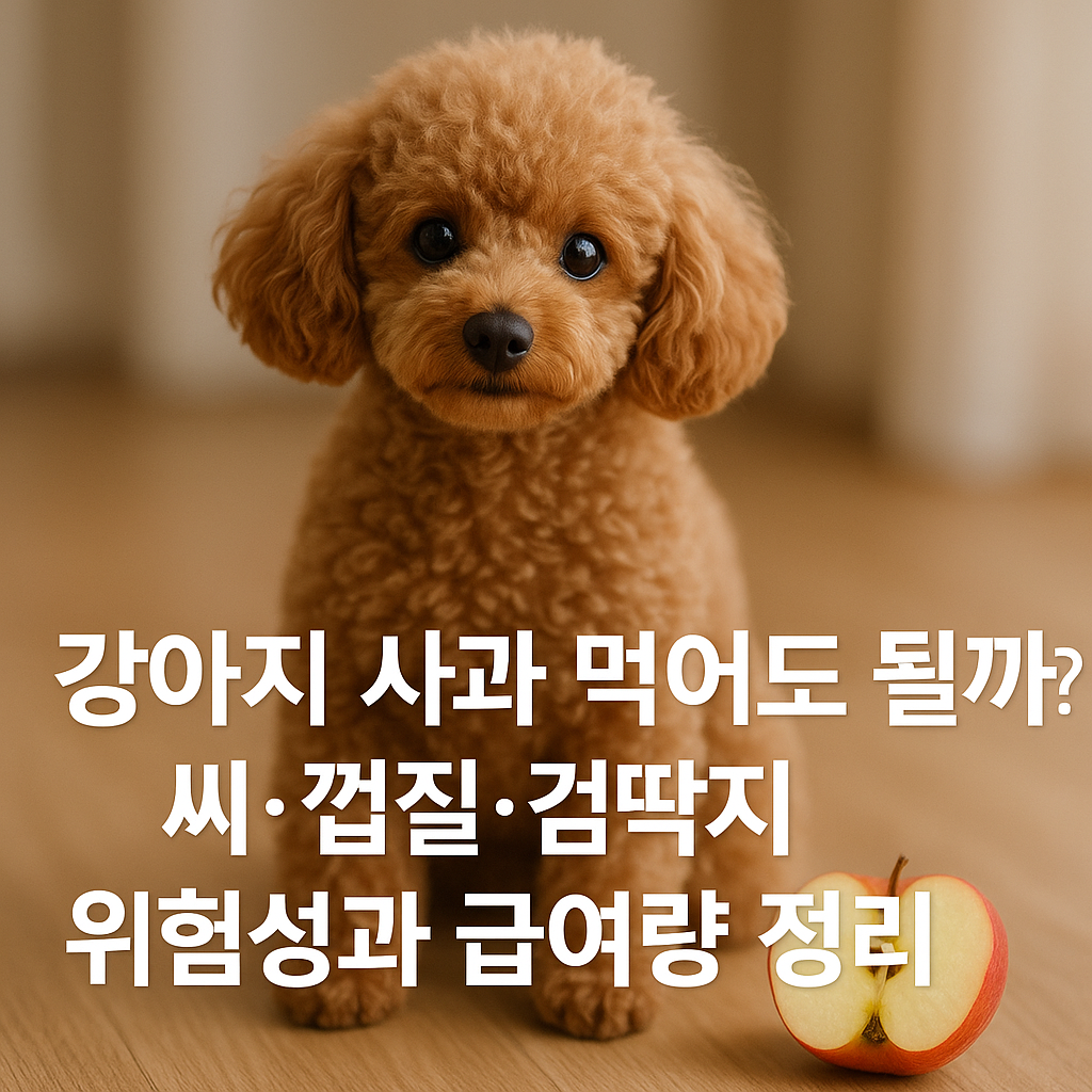 강아지 사과 먹어도 될까? 실사형 이미지