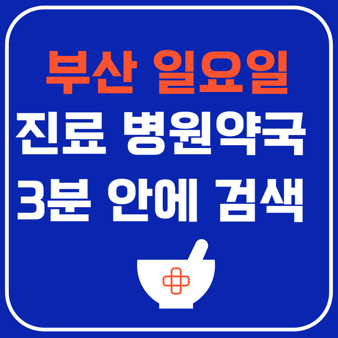 부산 일요일 진료 병원