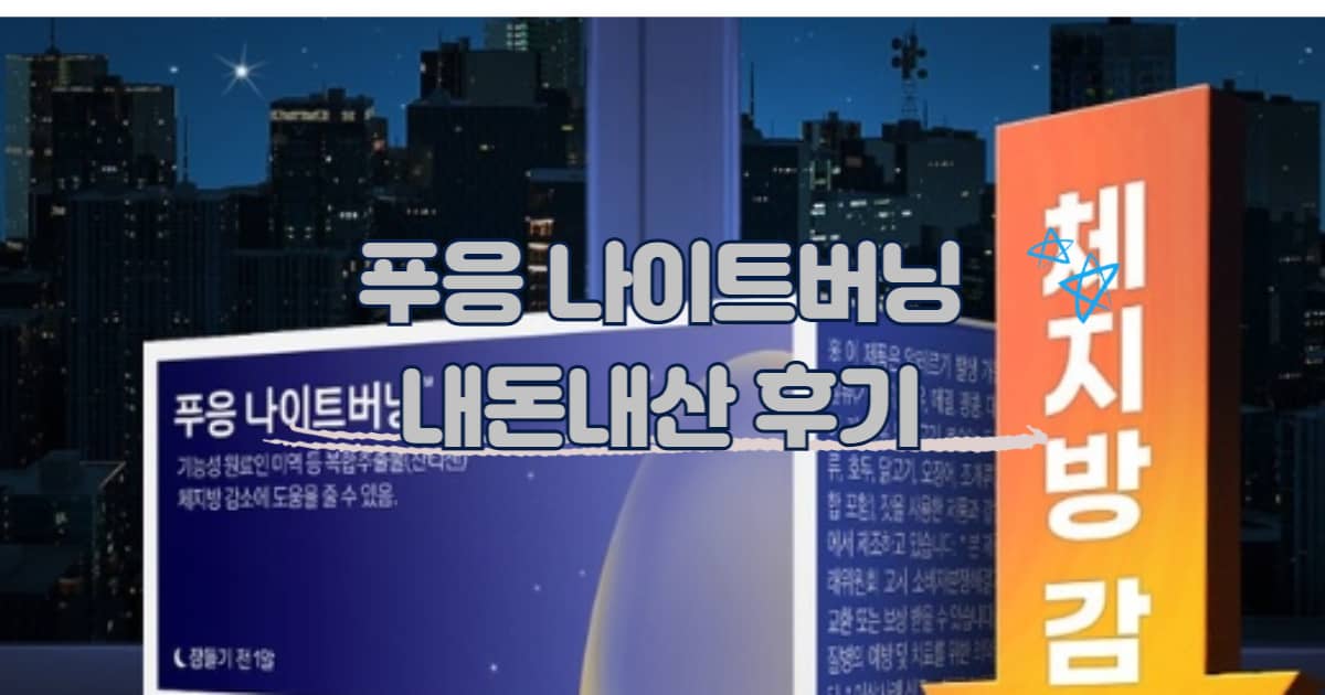 푸응 나이트버닝 썸네일 이미지